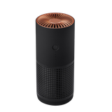 Purificateur d'air portable