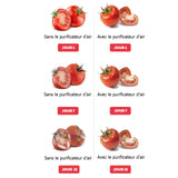 Purificateur portable d'air pour frigo