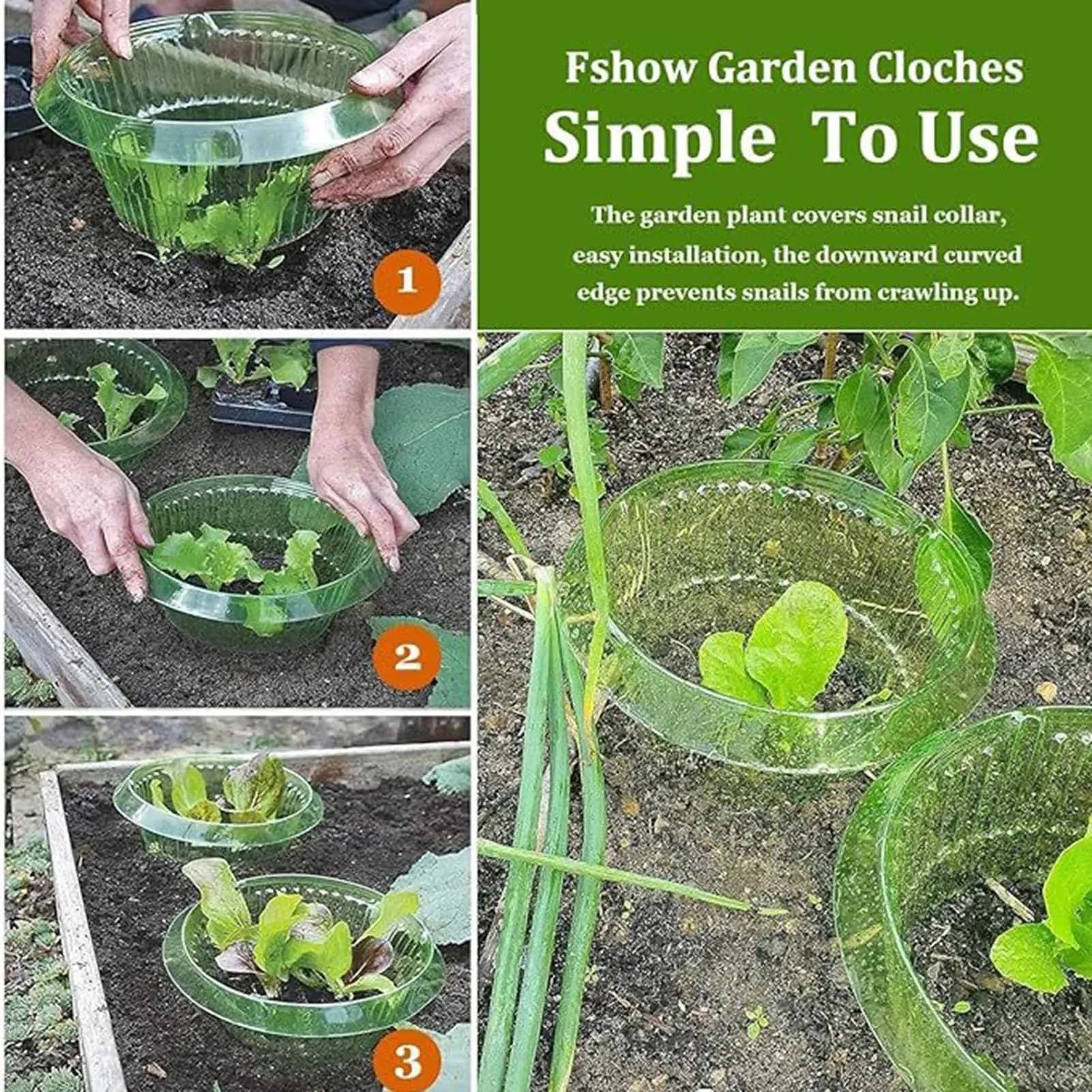 Lot de 10 Cloches Anti-escargots Réutilisables