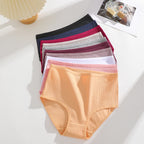 Lot 4 Culottes Taille Haute Femme Coton Sans Coutures — Couleur Unie, Confortables