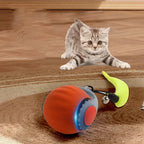 Balle Furet Électrique & Interactive pour Chats - 1 ACHETÉE = 1 OFFERTE