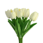 Blanc cassé