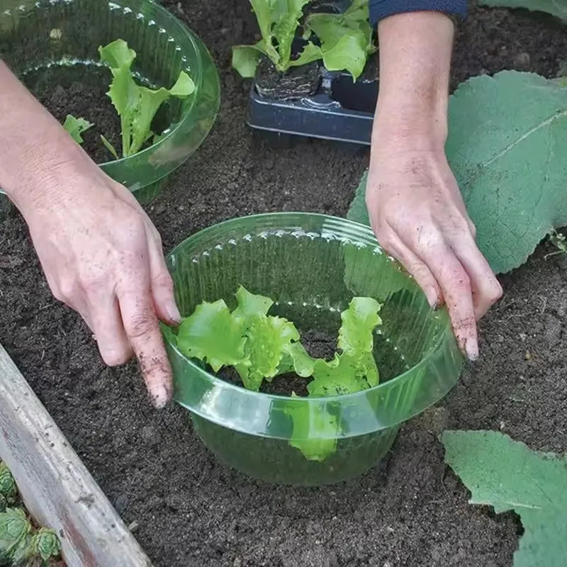 Lot de 10 Cloches Anti-escargots Réutilisables
