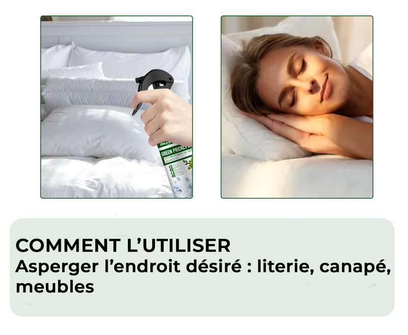 Lot de 2 Sprays Anti Punaises de Lit