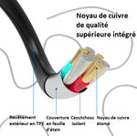 Caméra Endoscopique Intelligente